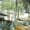 TREES WITH POND