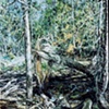 BROKEN TREE