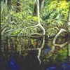 CANOE REFLECTION