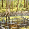 DEAD TREES