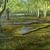 MYAKKA RIVER