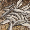 SARDINE PILE