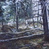 PINE WITH TWO ASPENS