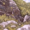 FOOTHILLS WITH ROCKS