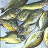 PAN FISH
