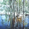 ASPENS REFLECTION
