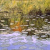 WARM REFLECTION