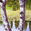 V-SHAPED TREE