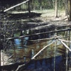 RAIN POND