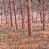 YOUNG TREES