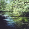 REFLECTION