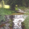COLORADO STREAM