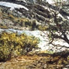 LAKE WITH SNOW