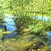REFLECTING POOL