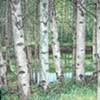 TREES WITH KNOT HOLES