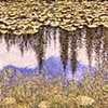 PINE TREE REFLECTION