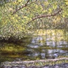 FLORIDA LANDSCAPE