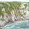 BODEGA BAY