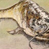 CATFISH