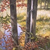 TREES IN RAINPOND