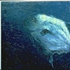 BLUEFISH