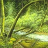 CALIFORNIA STREAM