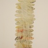 detail "interrupted symmetries"