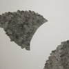detail "interrupted symmetries"