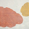 Shrinking
22x30
2009
