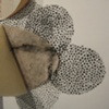 detail "interrupted symmetries"