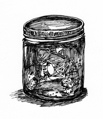 honey jar (for "the society for salvific love and night vision" zine)