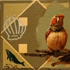 Soul Bird