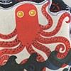 Baby Orange Octopus Needs Nurturing