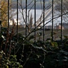 experimental geographies