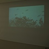 exhibition shot, ECA, 2011