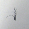 field notes
