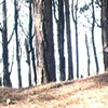 sometimes all there is to movement is shadow and light