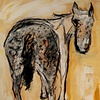 A is for Appaloosa