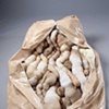 Internal Affairs