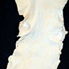 Second Skin Detail