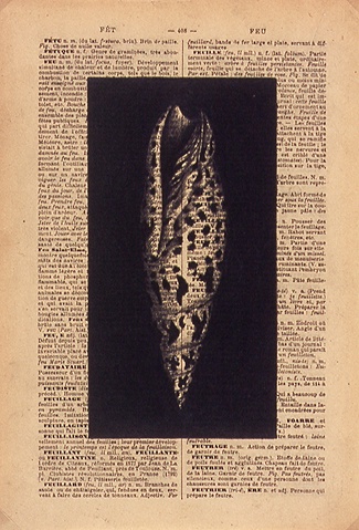 Feuille