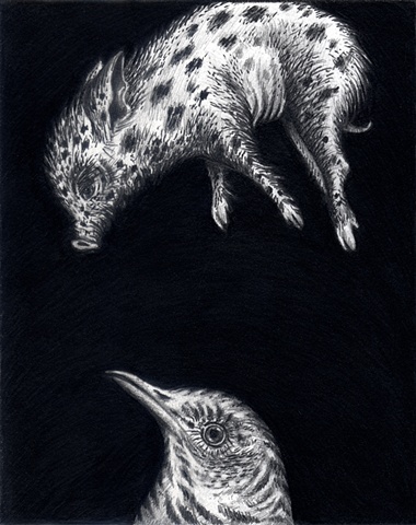 Bird and Piglet