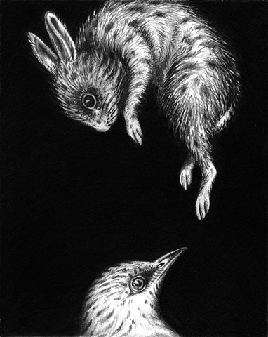 Bird and Rabbit