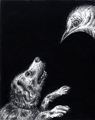 Dog and Bird