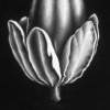 detail: Magic Power
