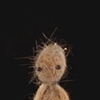 Cat Hair Doll