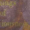 Has Feelings of Imperviousness
