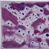 Untitled (12-6)