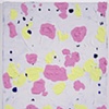 Untitled (12-24)