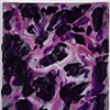 Untitled (12-15)